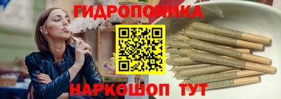 спиды Дубна