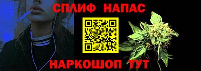 спиды Дубна