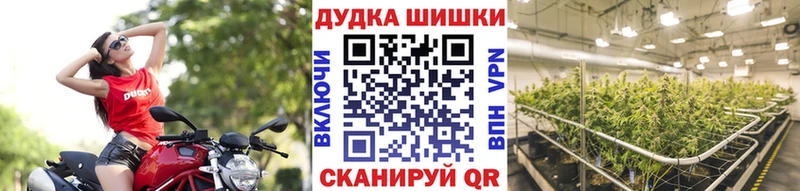 Шишки марихуана Amnesia Новоалександровск